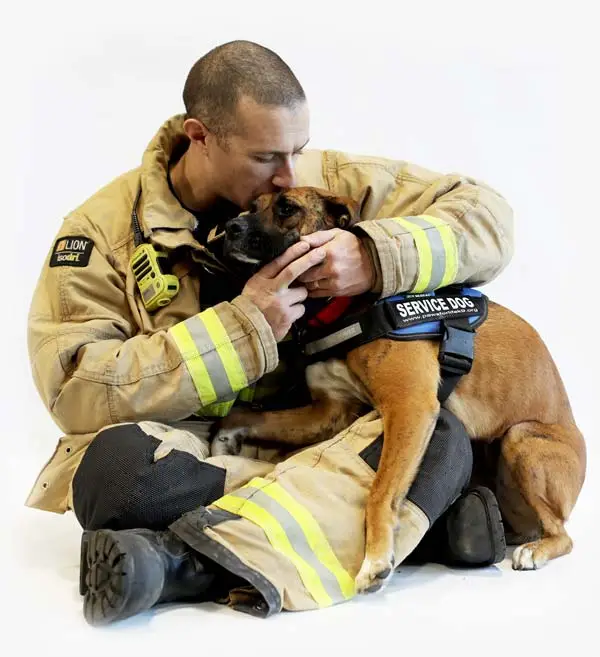 Paws Aid Rescue Saving Lives One Paw at a Time