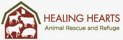 Save Lives with Southern Heart Animal Rescue
