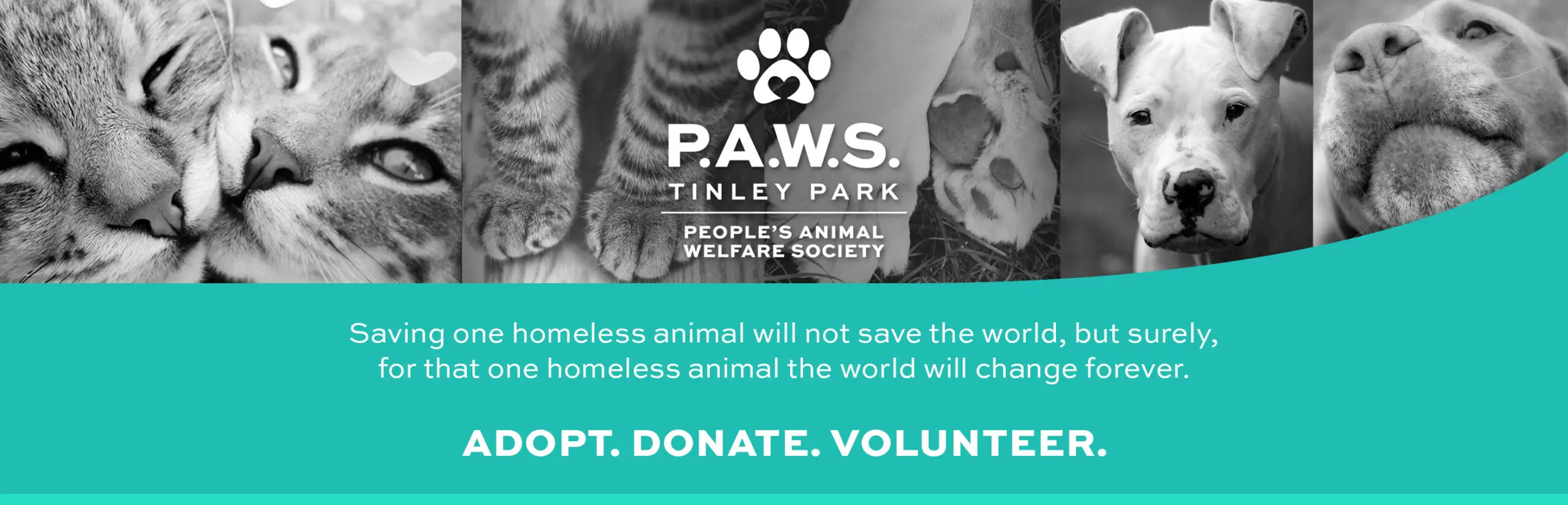 All Paws Animal Rescue Adopt, Foster, Volunteer, Donate Connect with Community