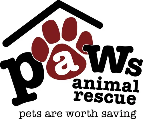 All Paws Animal Rescue Adopt, Foster, Volunteer, Donate Connect with Community