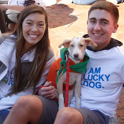 Lucky Dog Rescue Fond du Lac - Saving Stray Dogs