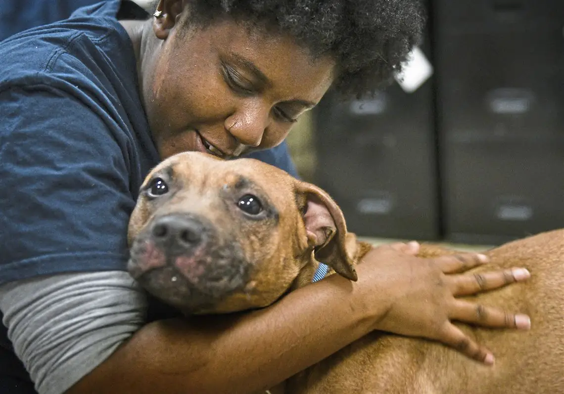 Pet Friends and Rescue How Adopting a Pet Can Change Your Life