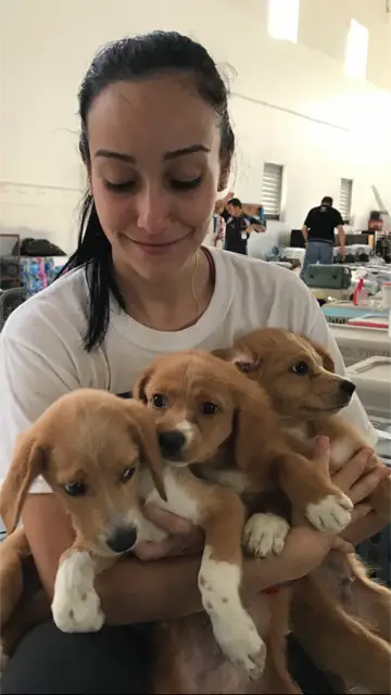 How the Sato Project is Saving Dogs in Puerto Rico