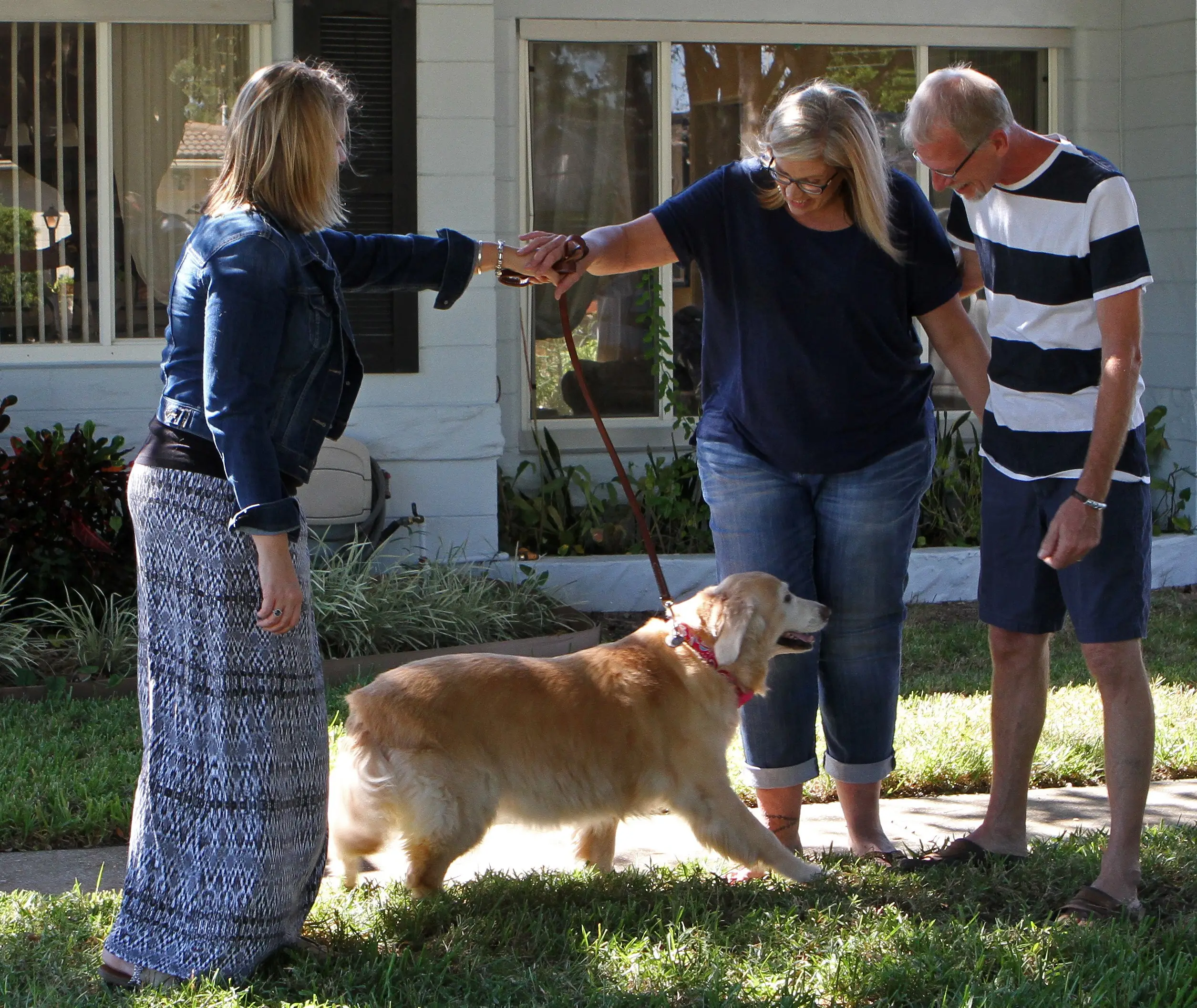 Top Golden Retriever Rescue Organizations for Saving Pups in Need