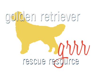 Top Golden Retriever Rescue Organizations for Saving Pups in Need