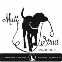 Mutt Hutt Rescue Saving Homeless Dogs One Bark at a Time