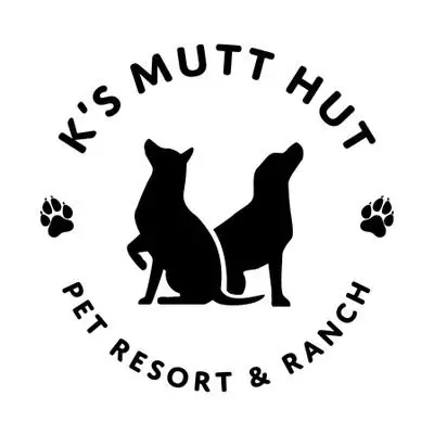 Mutt Hutt Rescue Saving Homeless Dogs One Bark at a Time