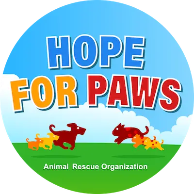 Top 5 Animal Adoption Organizations to Support in 2023