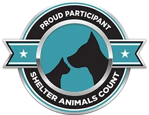 Top 5 Animal Adoption Organizations to Support in 2023