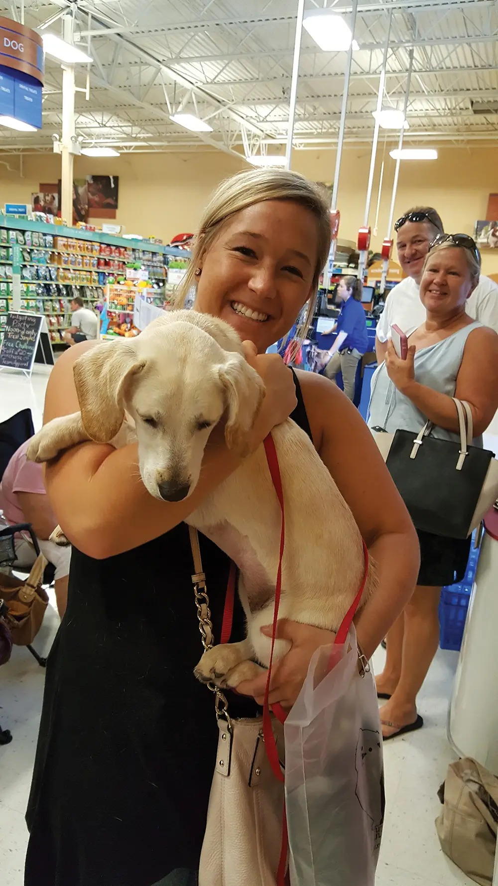 Hart Homeless Animal Rescue Team Saving Lives One Animal at a Time