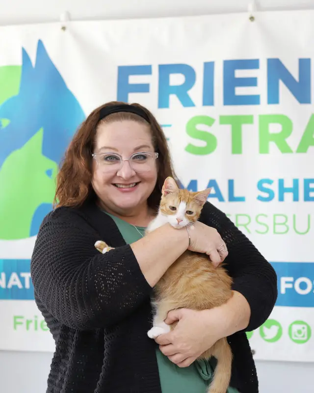 Sunshine Friends Cat and Dog Rescue Saving Lives One Paw at a Time