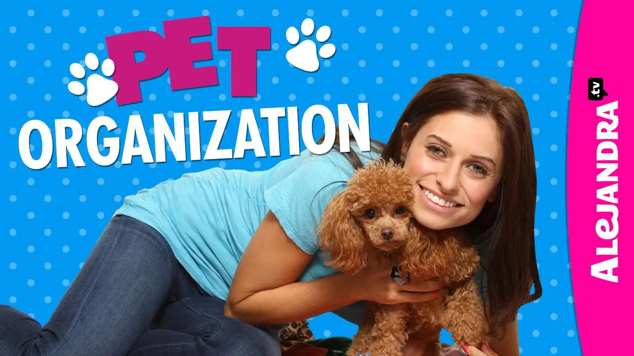 Find Non-Profit Pet Organizations Near You Local Animal Charities