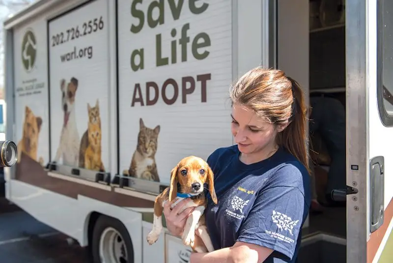 Animal Alliance Rescue Foundation Saving Lives One Animal at a Time