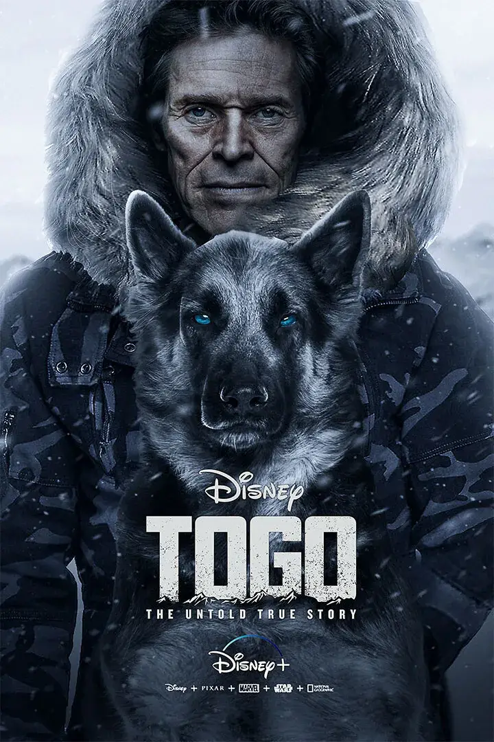 The Togo Dog Story An Inspiring Tale of Bravery and Loyalty