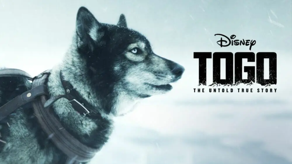 The True Story of Balto and Togo - Heroes of the Iditarod Race