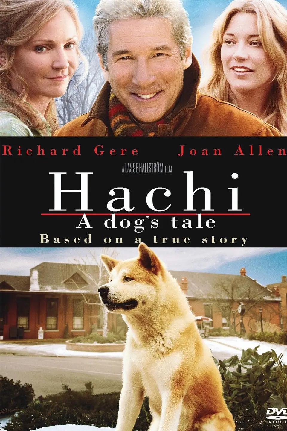 Uncovering the Fascinating Story of the Real Hachiko