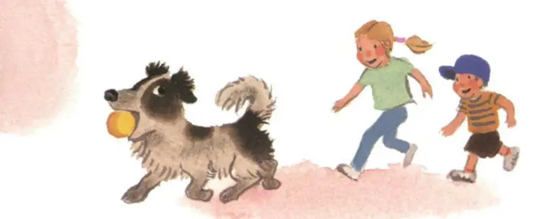 The Stray Dog by Marc Simont A Heartwarming Tale of Friendship and Adventure
