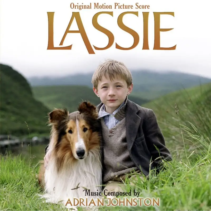 The Iconic Tale of The Dog Lassie A Story of Loyalty and Adventure