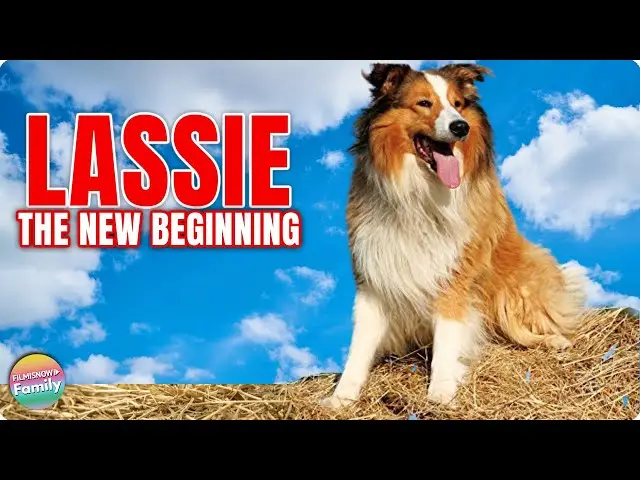 The Iconic Tale of The Dog Lassie A Story of Loyalty and Adventure