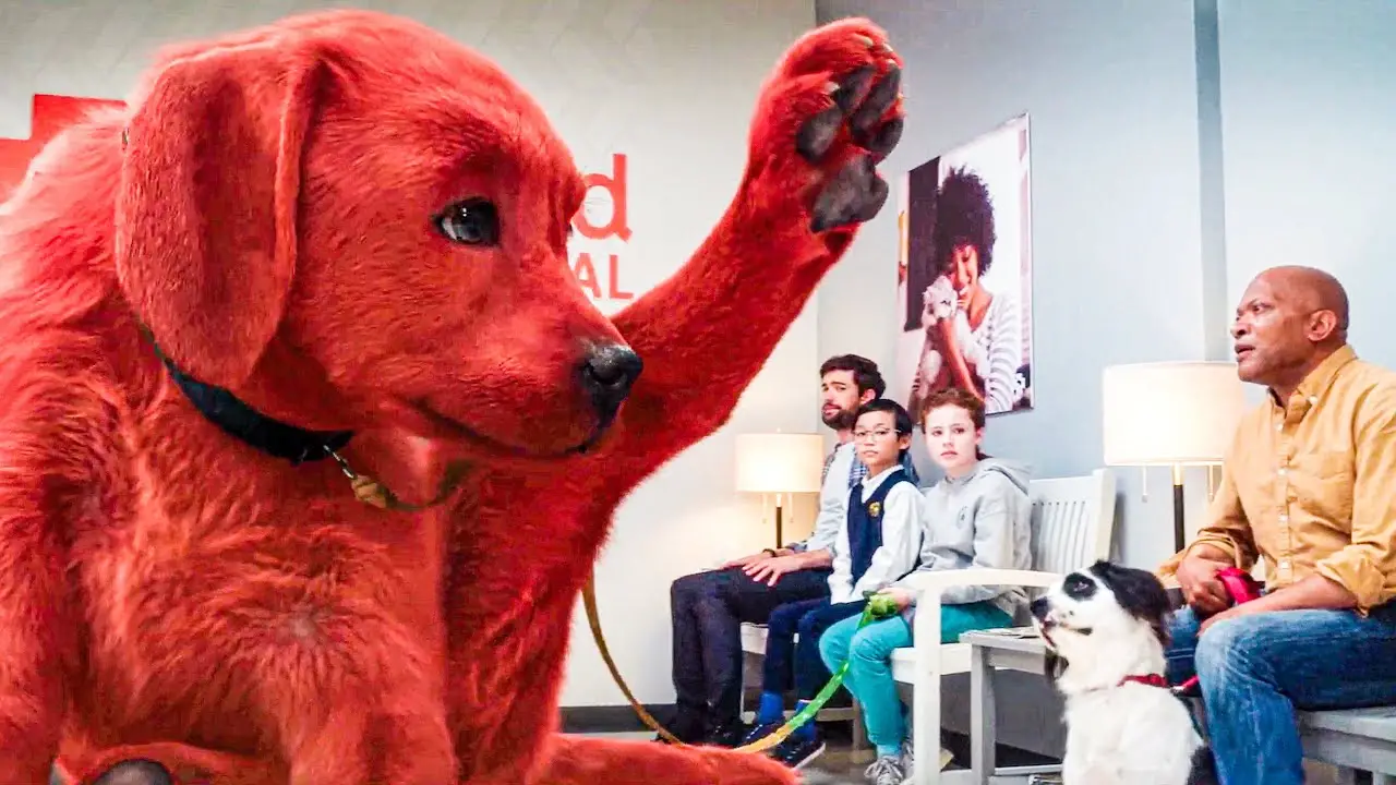 The True Story of a Red Dog Heartwarming and Inspiring