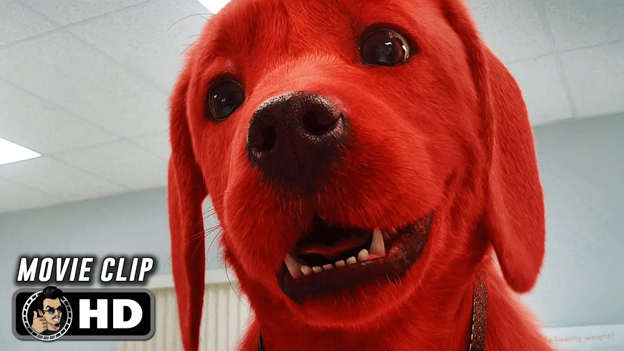 The True Story of a Red Dog Heartwarming and Inspiring