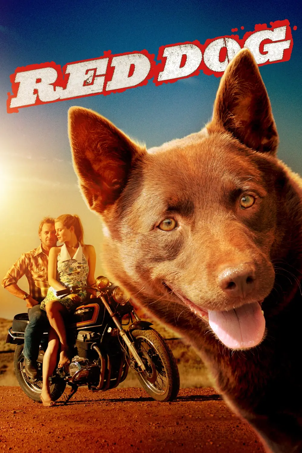 Red Dog Heartwarming and Inspiring 