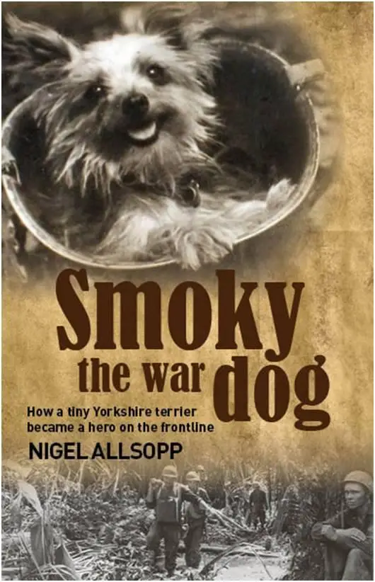 The Inspiring Story of Smoky the War Dog A True Hero in Times of Conflict