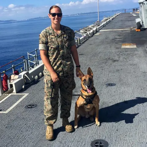 Navy Seal Dog Handler An Insider Look at the Elite Force