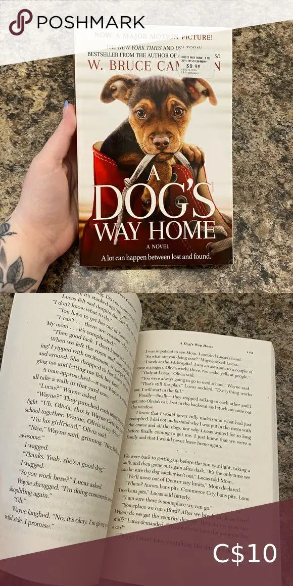 Discover the Heartwarming Tale of 'A Dog's Way Home' by Bruce Cameron