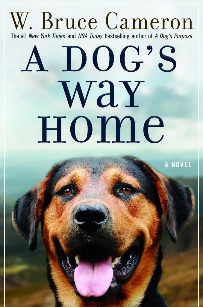 Discover the Heartwarming Tale of 'A Dog's Way Home' by Bruce Cameron