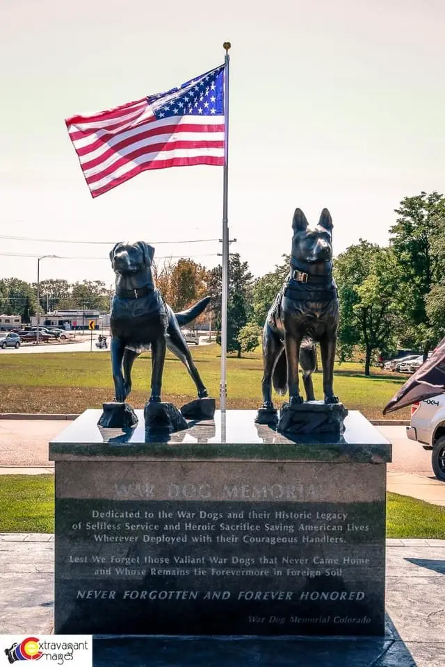 The Heroic Role of American War Dogs A Look at Their Impact