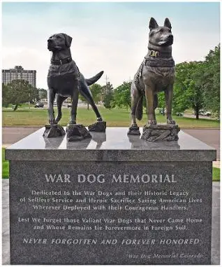 The Heroic Role of American War Dogs A Look at Their Impact