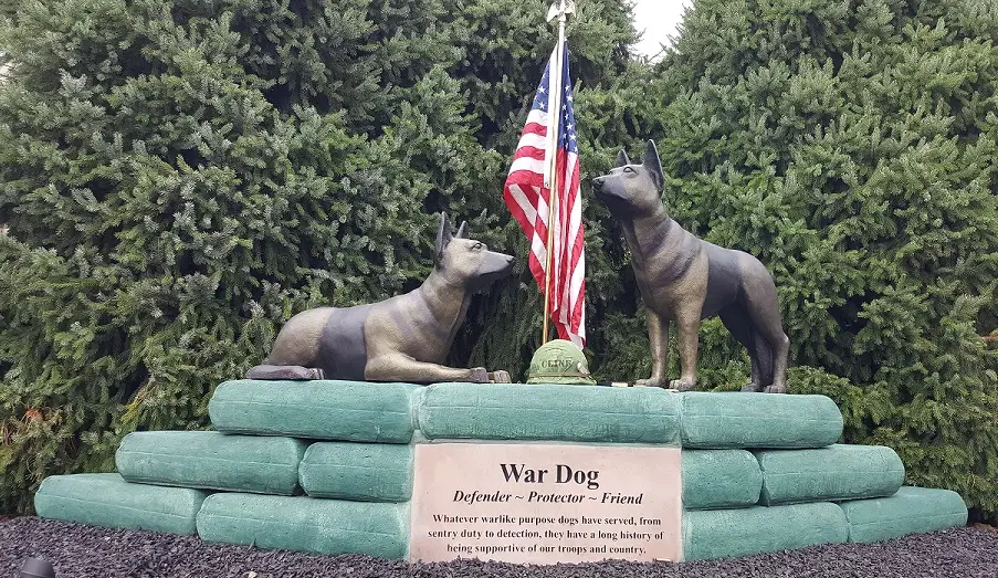 The Heroic Role of American War Dogs A Look at Their Impact