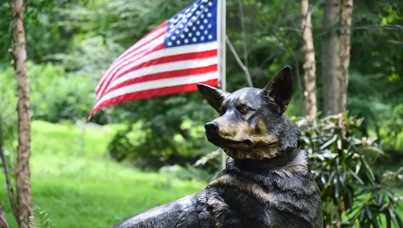 The Heroic Role of American War Dogs A Look at Their Impact