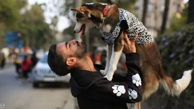 The Heartwarming Dog Love Story You Need to Hear