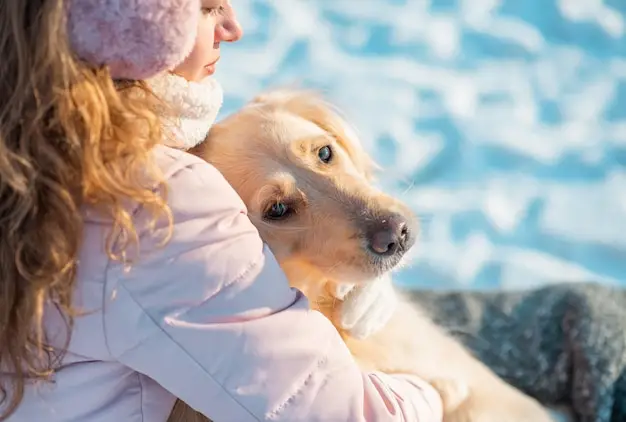The Heartwarming Dog Love Story You Need to Hear
