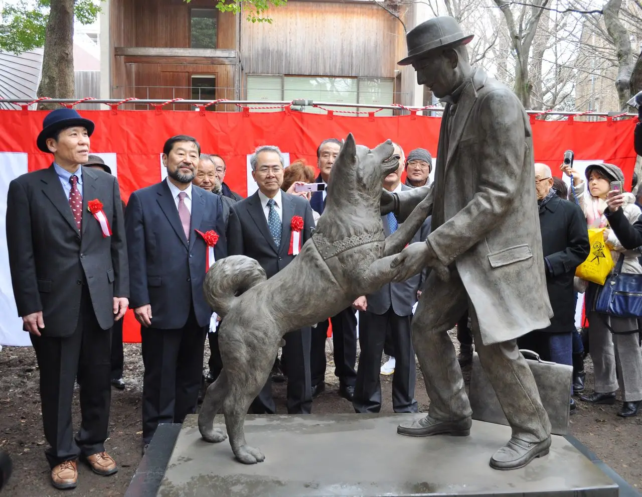 5 Unforgettable Dog Loyalty Stories That Will Melt Your Heart