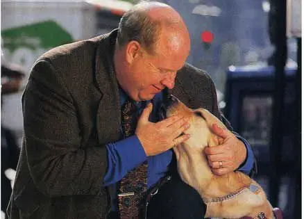 5 Unforgettable Dog Loyalty Stories That Will Melt Your Heart