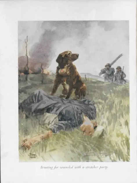 Discover the Stories of Famous War Dogs - History, Heroes and Tales