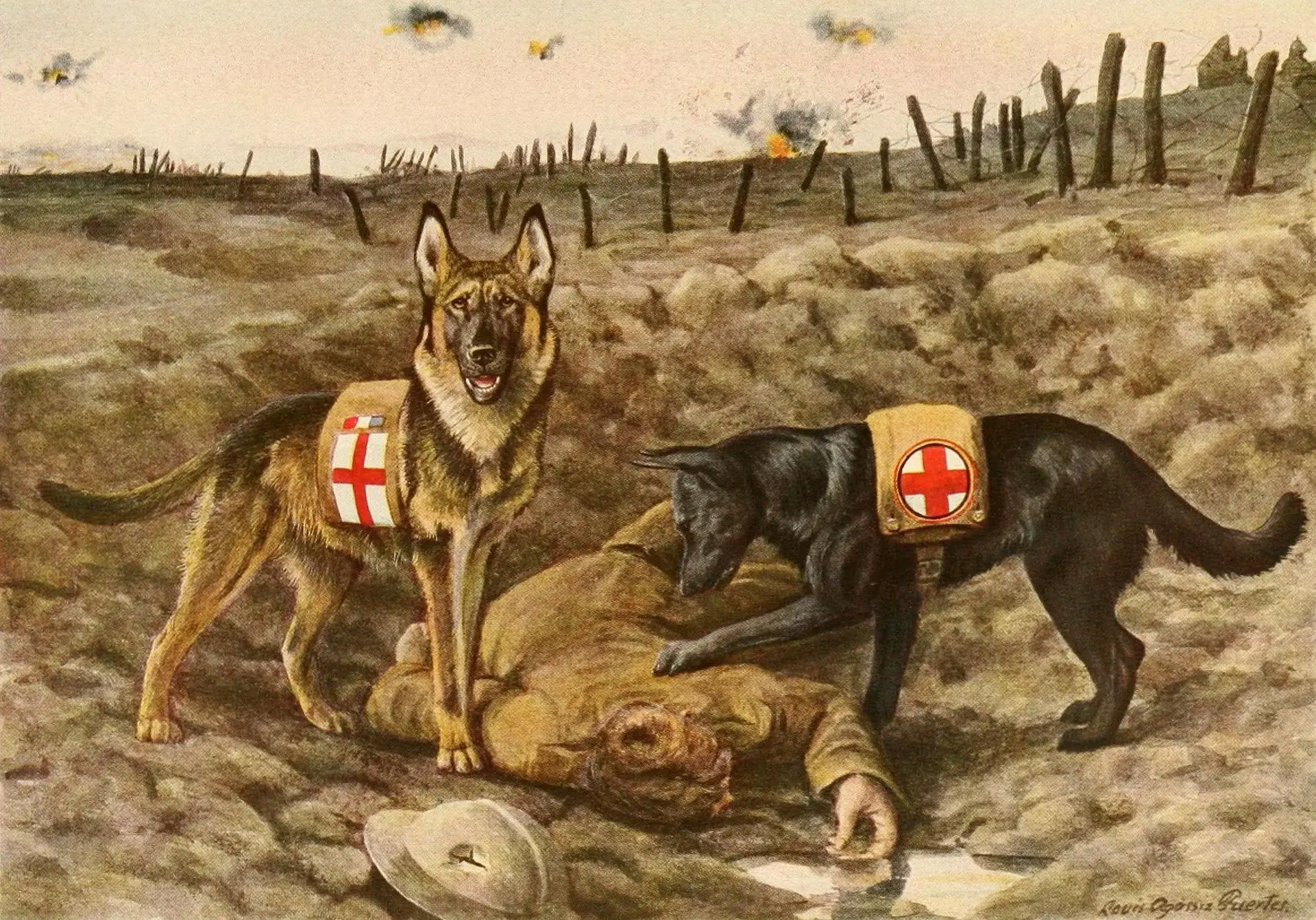 Discover the Stories of Famous War Dogs - History, Heroes and Tales