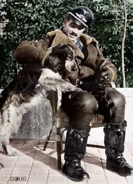 Discover the Stories of Famous War Dogs - History, Heroes and Tales