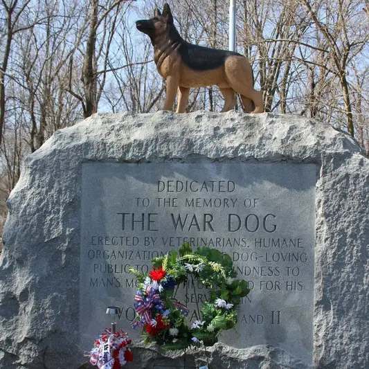 Discover the Stories of Famous War Dogs - History, Heroes and Tales