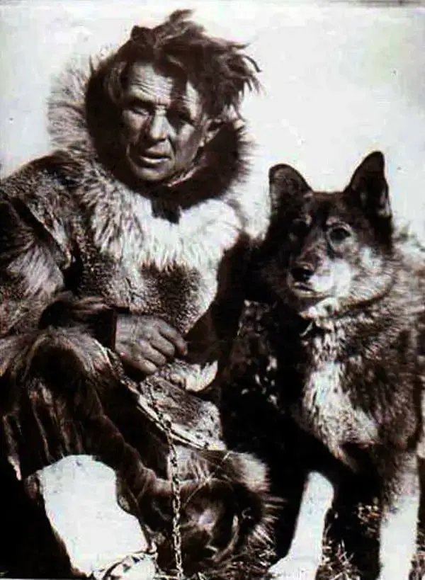 Uncovering the Balto True Story History, Legend, and Facts