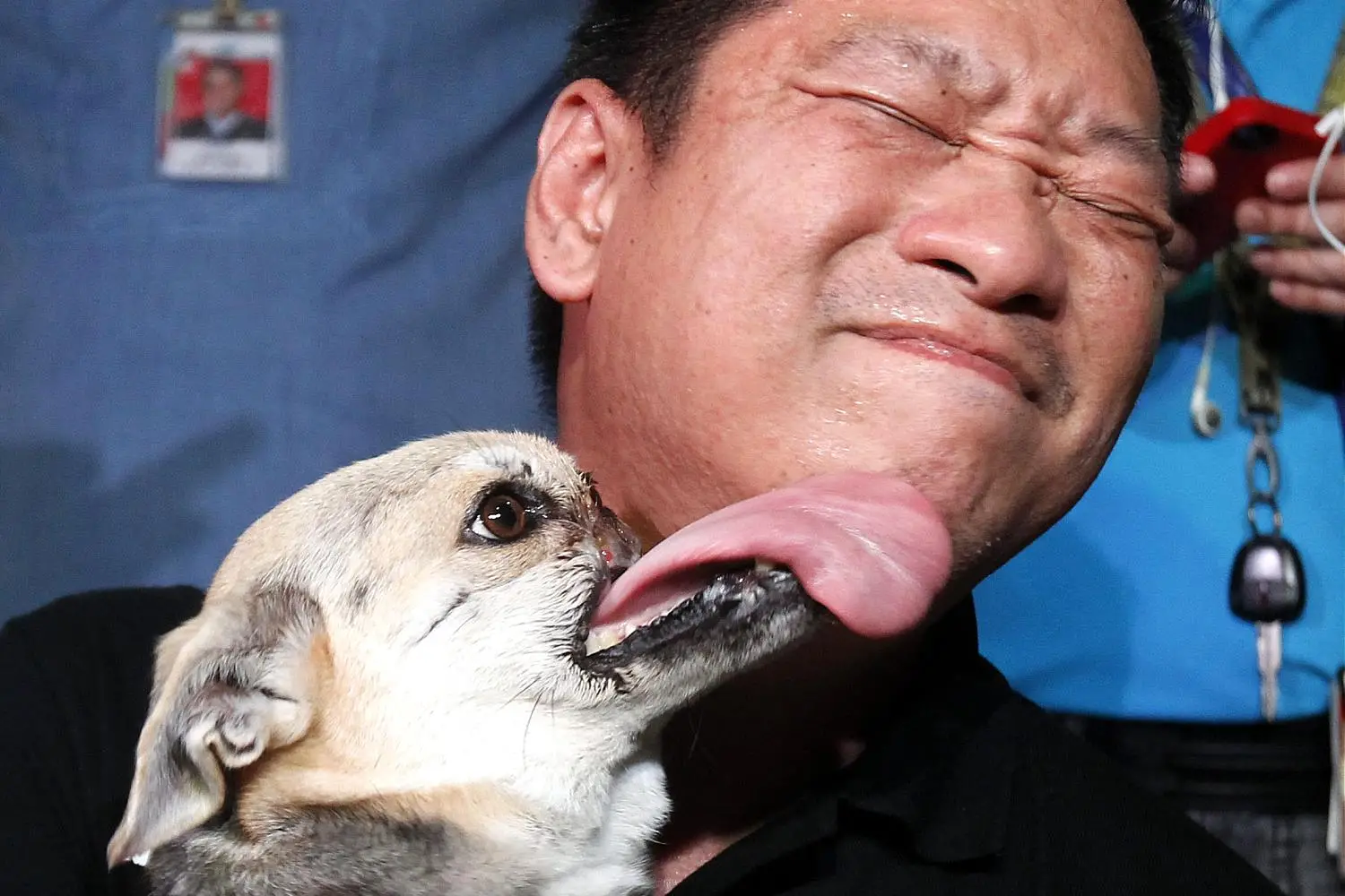 The Heartwarming Kabang Dog Story From Tragedy to Triumph