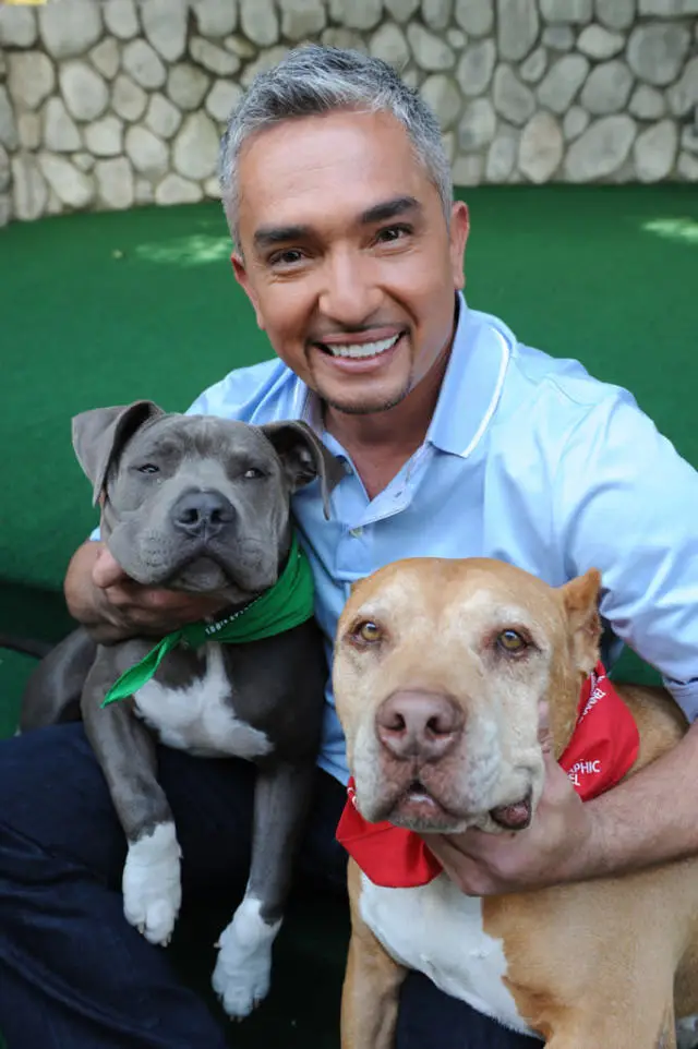 The Inspiring Journey of Cesar Millan From Humble Beginnings to Becoming the World's Most Famous Dog Trainer