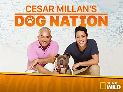 The Inspiring Journey of Cesar Millan From Humble Beginnings to Becoming the World's Most Famous Dog Trainer