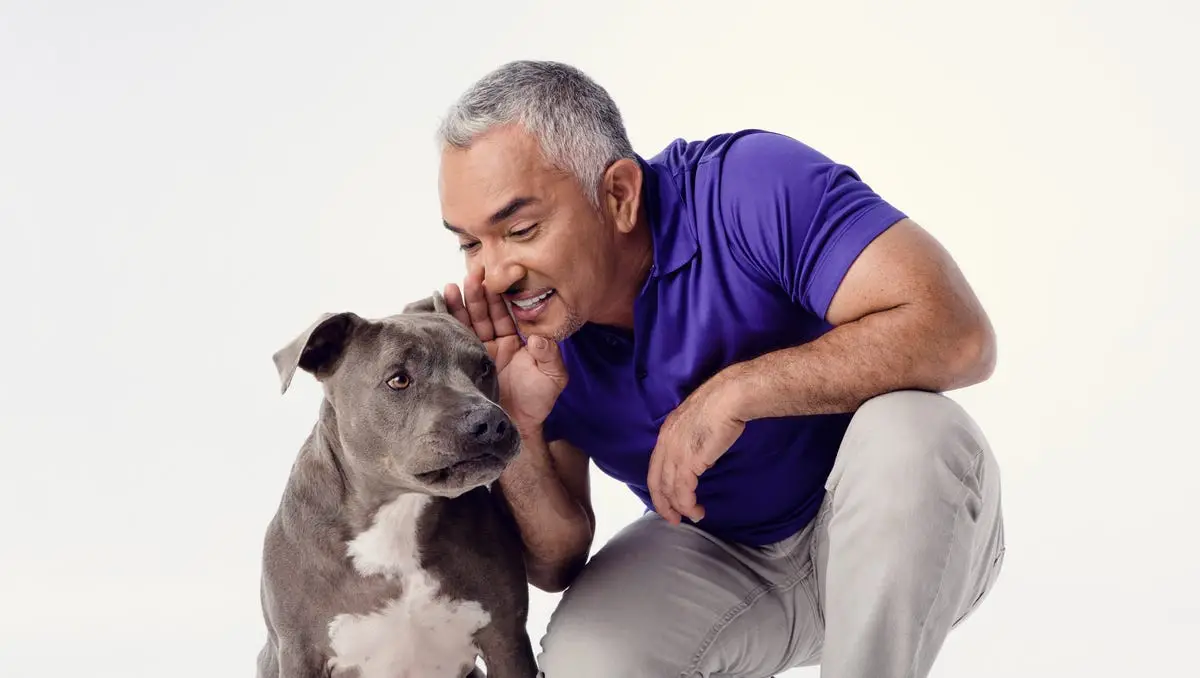 The Inspiring Journey of Cesar Millan From Humble Beginnings to Becoming the World's Most Famous Dog Trainer