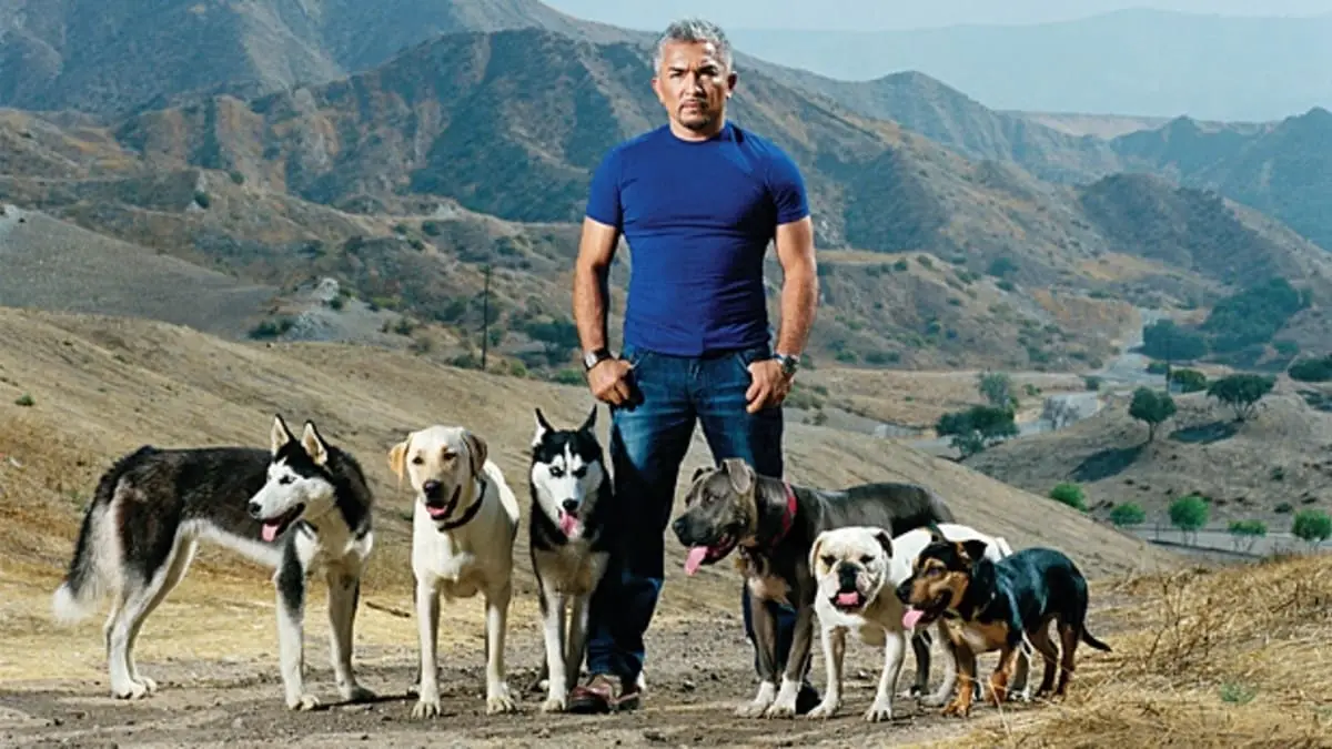 The Inspiring Journey of Cesar Millan From Humble Beginnings to Becoming the World's Most Famous Dog Trainer