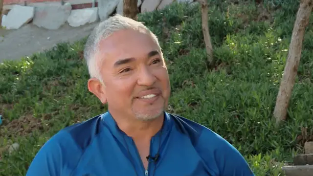 The Inspiring Journey of Cesar Millan From Humble Beginnings to Becoming the World's Most Famous Dog Trainer