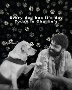 charlie dog real story
